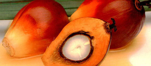 slider image 2